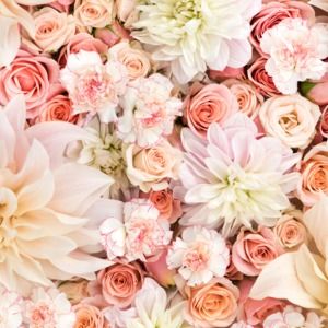 Meet your Posher, Jaycie